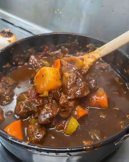 Delicious viral beef stew recipe with tender meat and rich broth