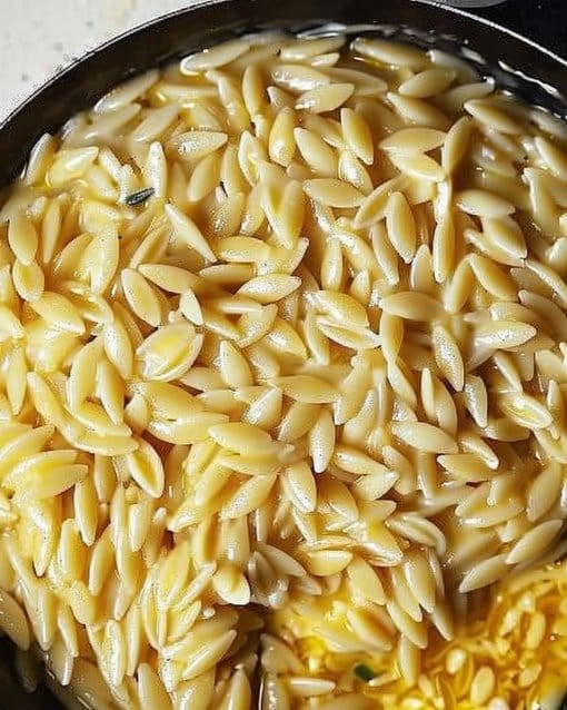 Creamy Cottage Cheese Orzo