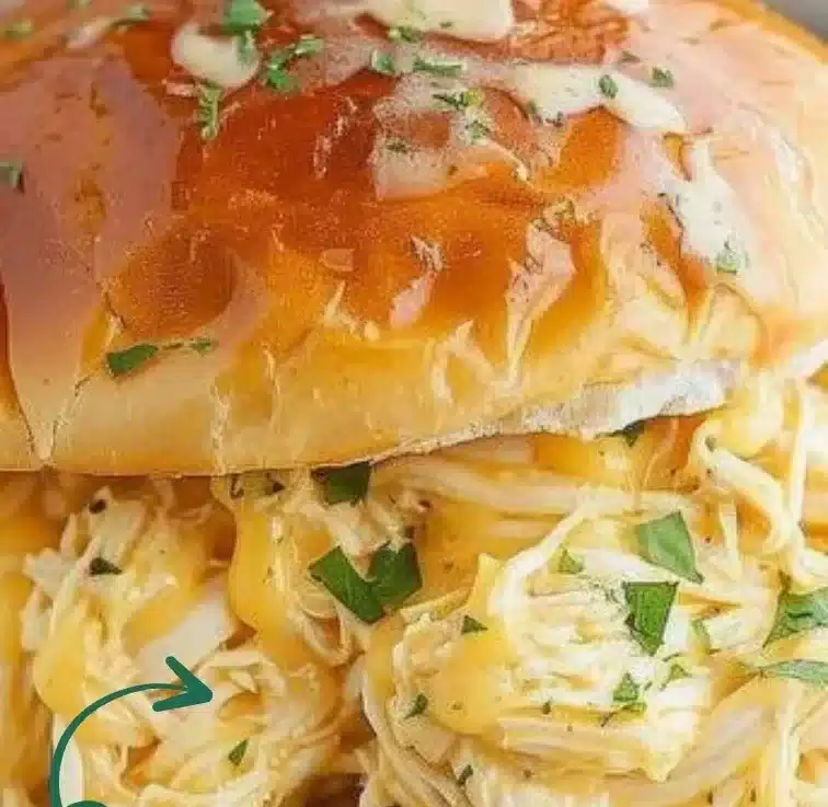 Ohio Shredded Chicken Sandwich with tender shredded chicken and toppings